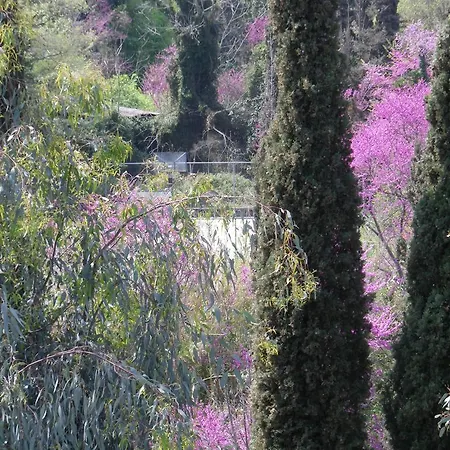 Skevoulis דירה בניטסס