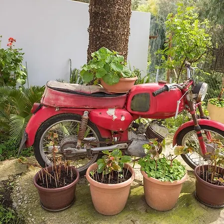 דירה Skevoulis *