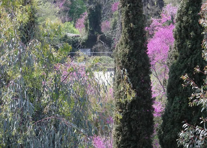 Skevoulis דירה בניטסס
