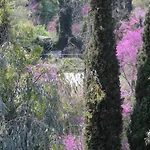 Skevoulis Daire Benitses (Corfu)