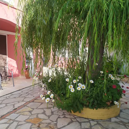 Apartment Skevoulis