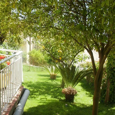 Skevoulis Бенитсес