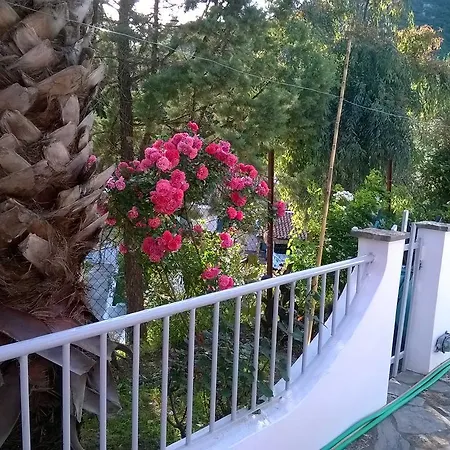 Apartmán Skevoulis